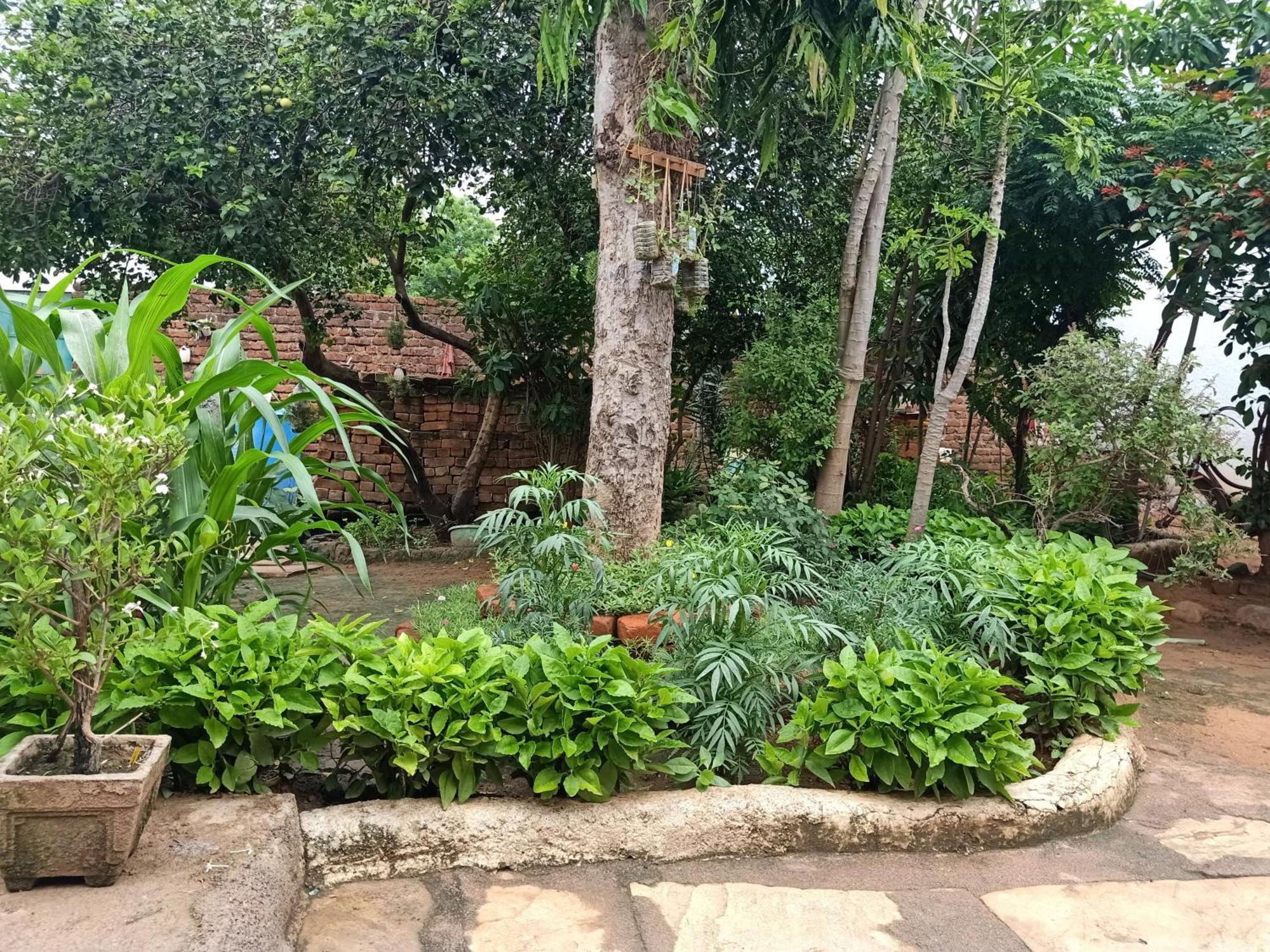 Rancho * Khajuraho