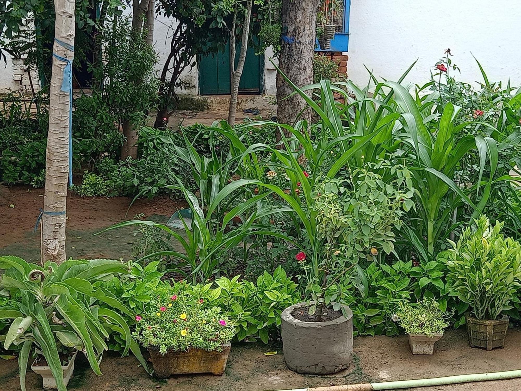Homestay Rancho *