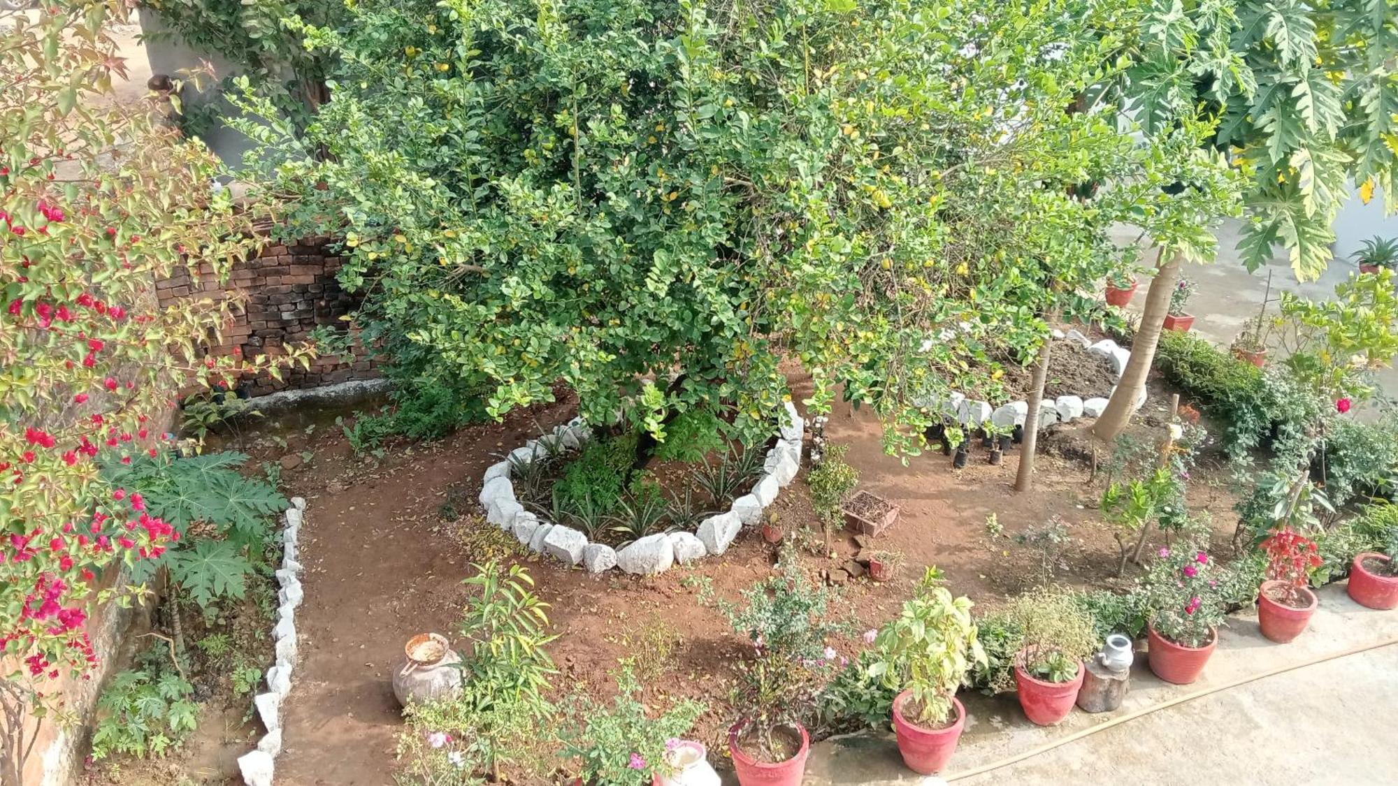 Homestay Rancho Khajuraho