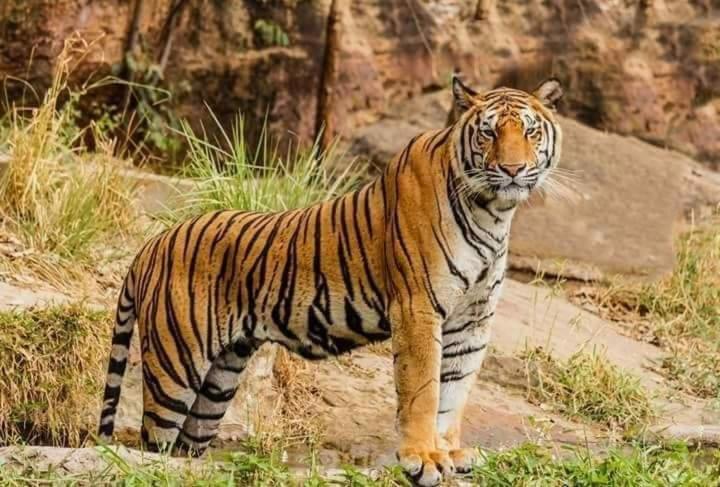 Rancho Khajuraho